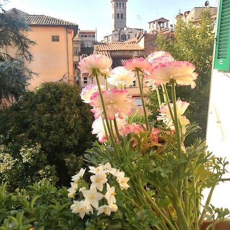 Bed And Breakfast Evelina Lucca Exterior foto