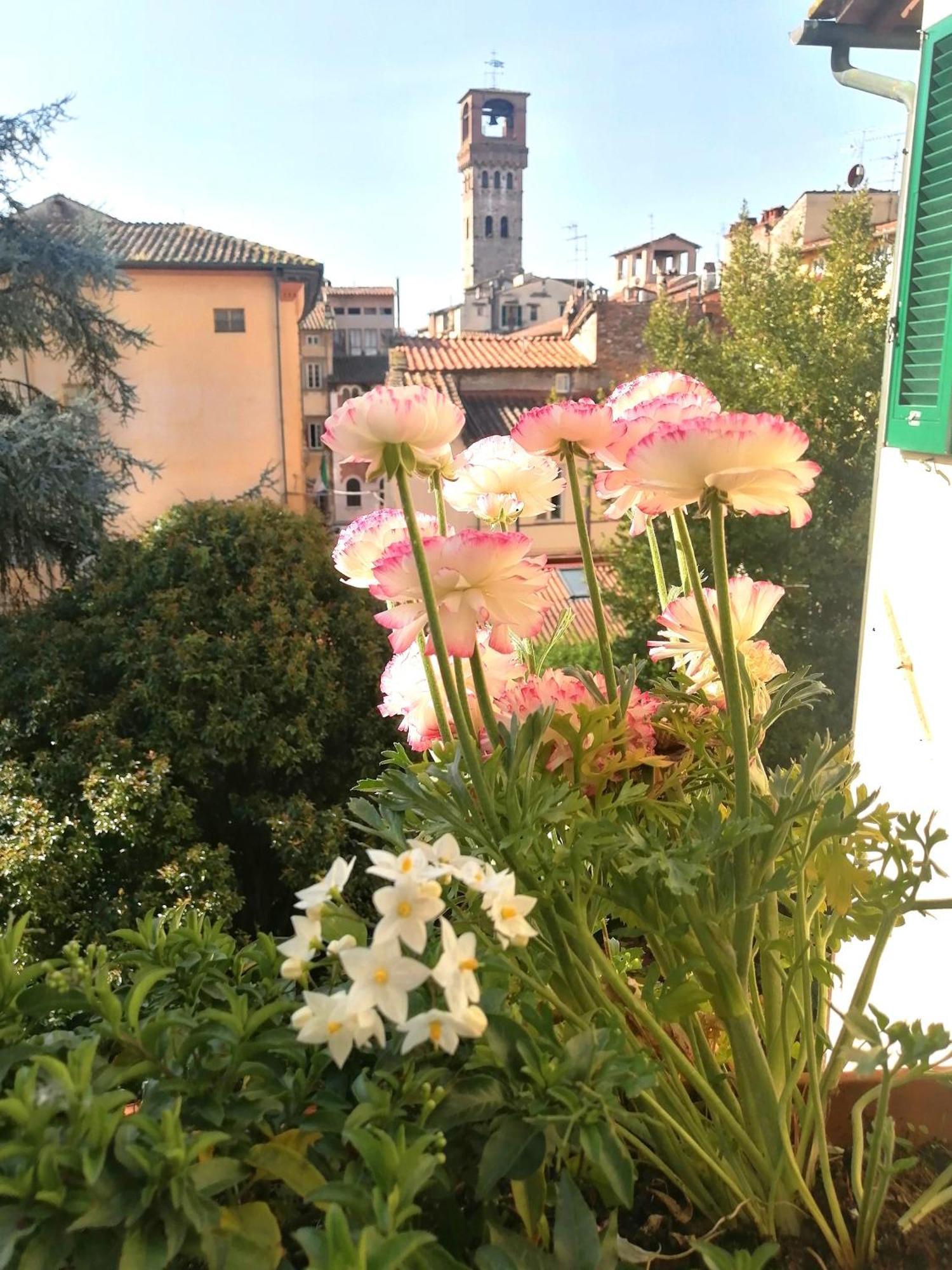 Bed And Breakfast Evelina Lucca Exterior foto